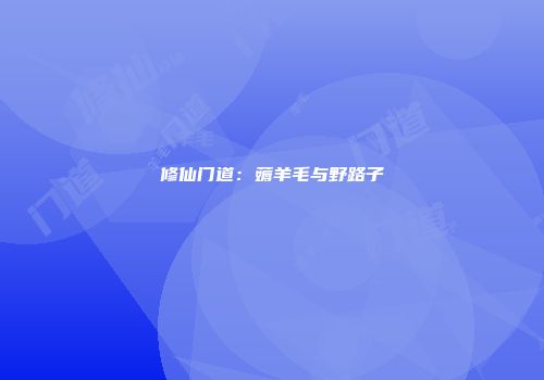 修仙门道：薅羊毛与野路子