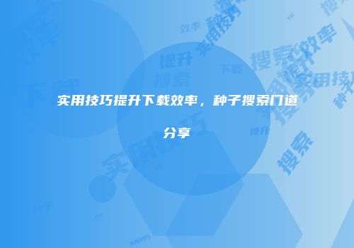 实用技巧提升下载效率，种子搜索门道分享