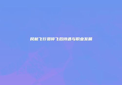民航飞行员停飞后待遇与职业发展