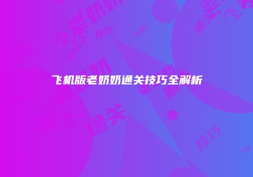 飞机版老奶奶通关技巧全解析
