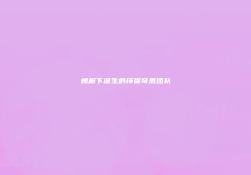 槐树下诞生的环保奇思团队