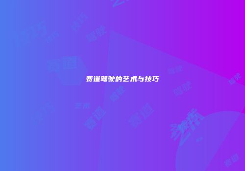 赛道驾驶的艺术与技巧