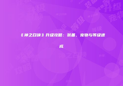 《神之召唤》升级攻略：装备、宠物与等级速成