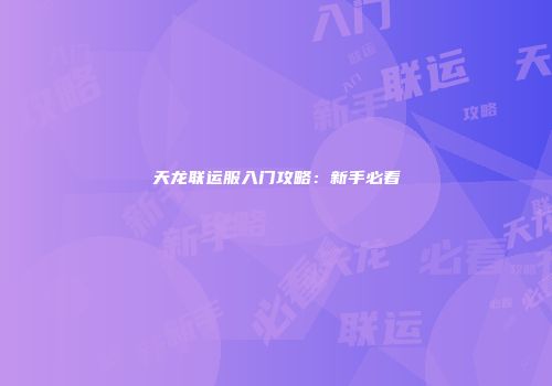 天龙联运服入门攻略：新手必看