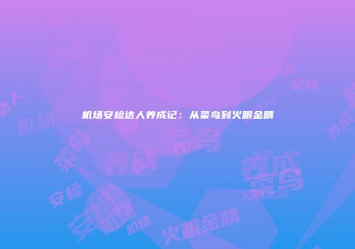 机场安检达人养成记：从菜鸟到火眼金睛