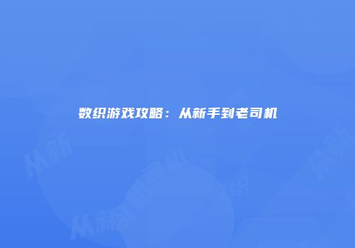 数织游戏攻略：从新手到老司机