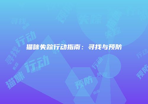 猫咪失踪行动指南：寻找与预防