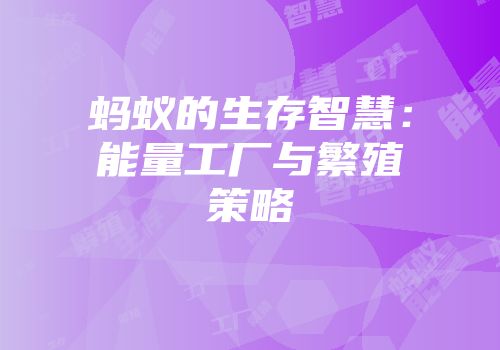 蚂蚁的生存智慧：能量工厂与繁殖策略