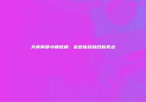 天南铜都小棚秋棚：农业信鸽融合新亮点