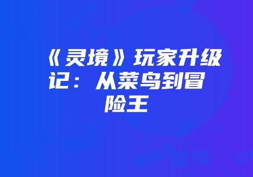 《灵境》玩家升级记：从菜鸟到冒险王