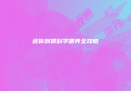 迷你刺猬科学喂养全攻略