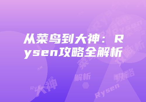 从菜鸟到大神：Rysen攻略全解析