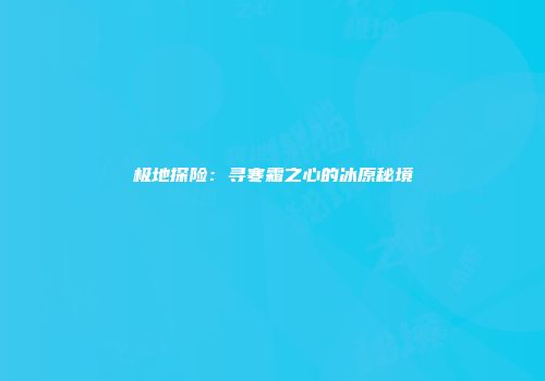 极地探险：寻寒霜之心的冰原秘境