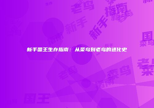 新手国王生存指南：从菜鸟到老鸟的进化史